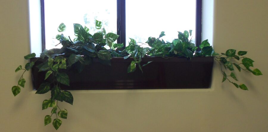 Window Planters